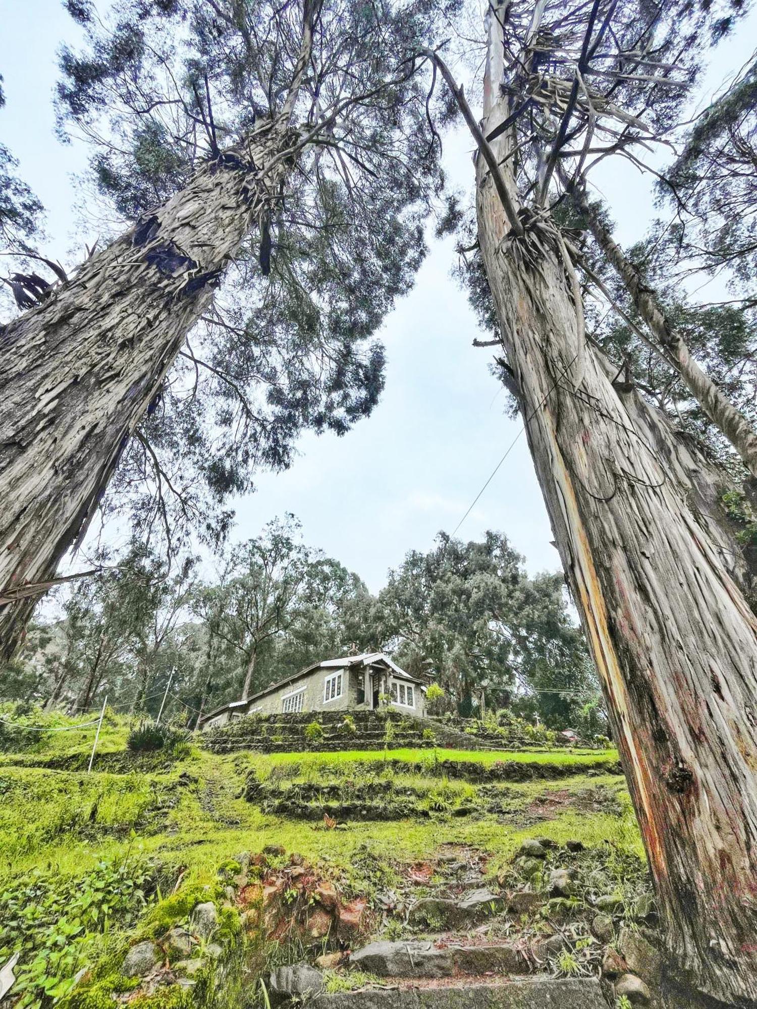 Springdale Villa Tamilnadu - Tamilnadu - Kodaikanal Esterno foto