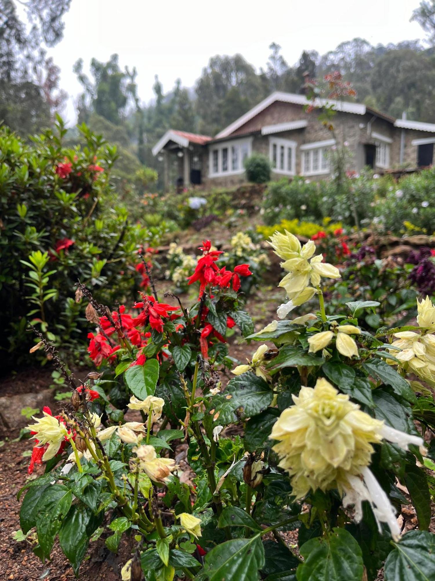 Springdale Villa Tamilnadu - Tamilnadu - Kodaikanal Esterno foto