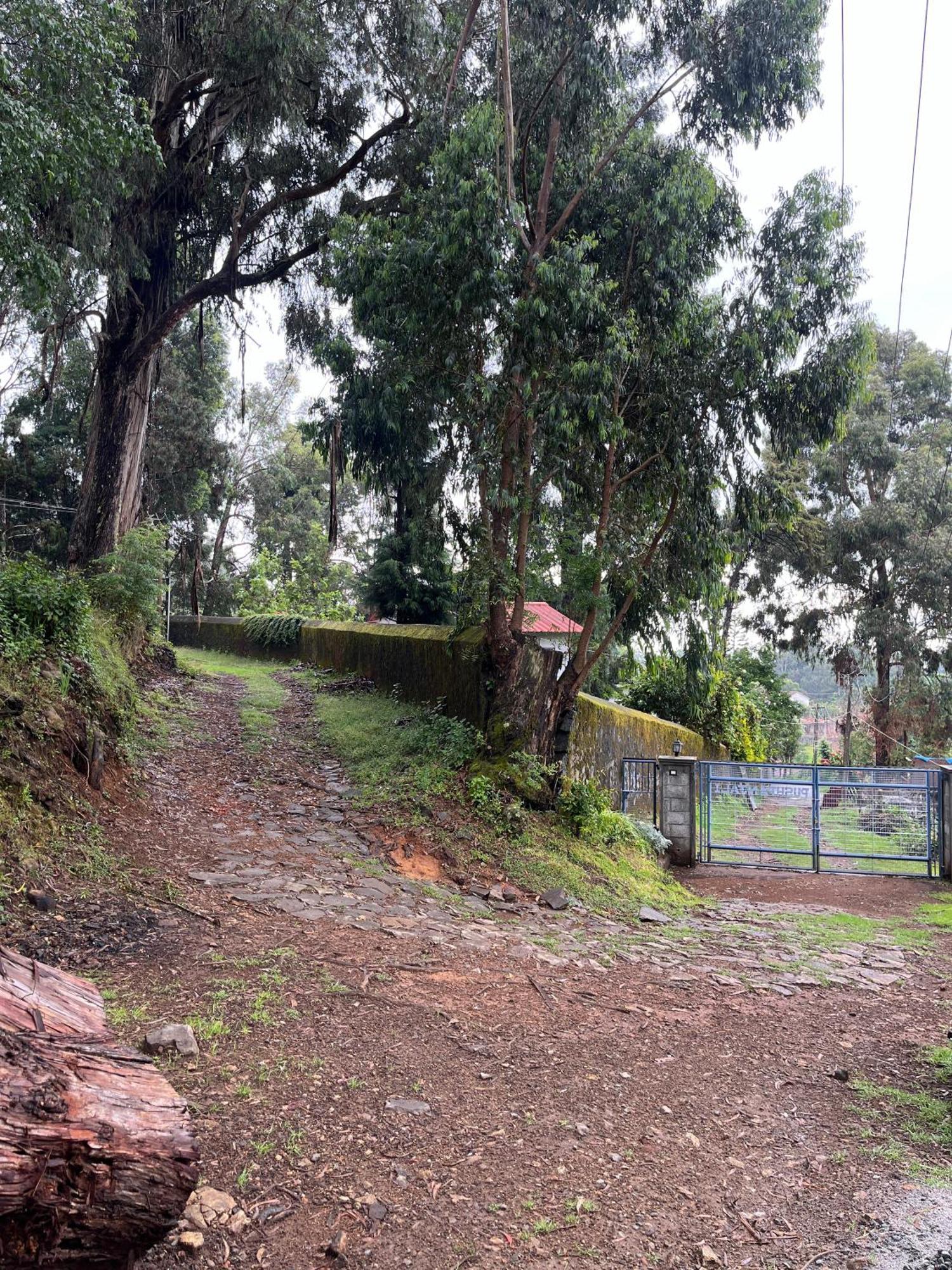 Springdale Villa Tamilnadu - Tamilnadu - Kodaikanal Esterno foto